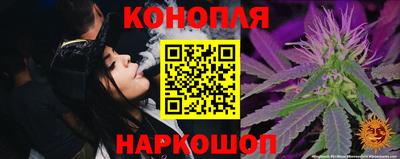крисы Рязань