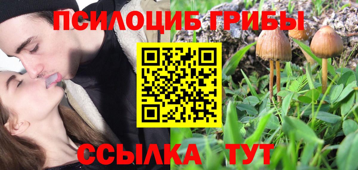 Полысаево  Галлюциногенные грибы мухоморы  Вход с VPN 